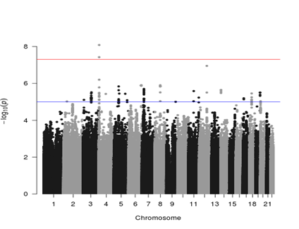 遗传与环境对阅读能力的影响 遗传与环境对阅读能力的影响